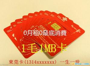 国产免费毛卡片